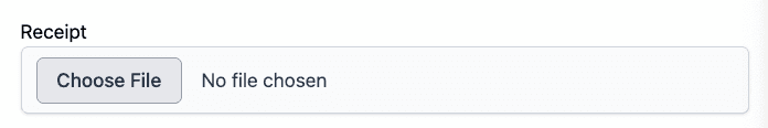 active storage native file input no file chosen