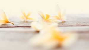Building a No Frills Meditation App