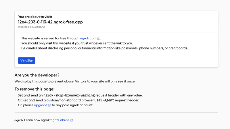 slack app first time ngrok warning