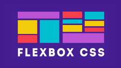 CSS3 Flexbox Essentials