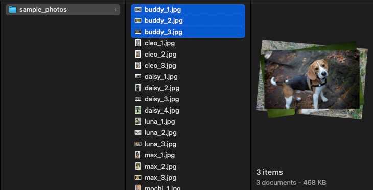 OS file picker with three files selected